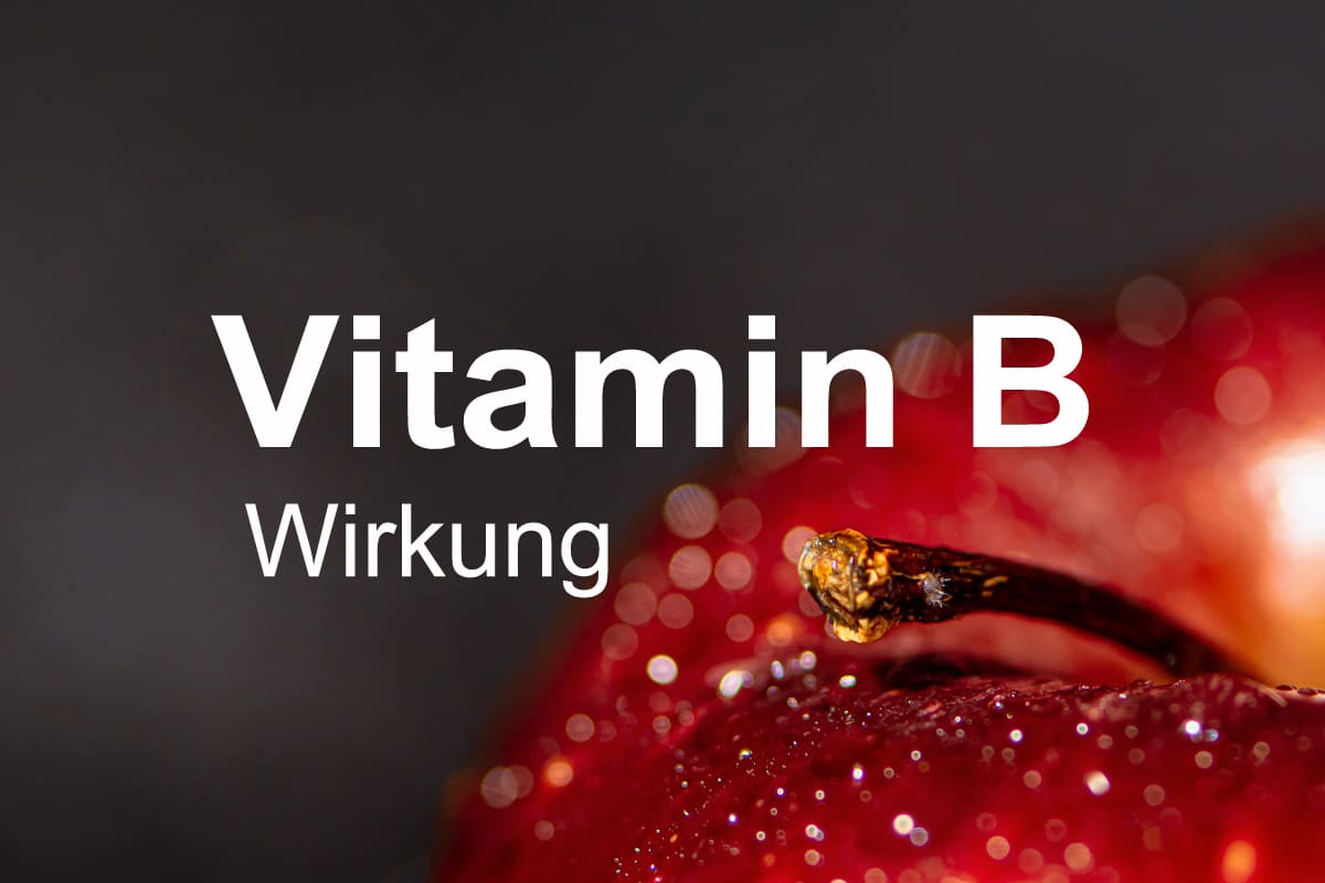 Vitamin B Wirkung - VitaminRatgeber.org